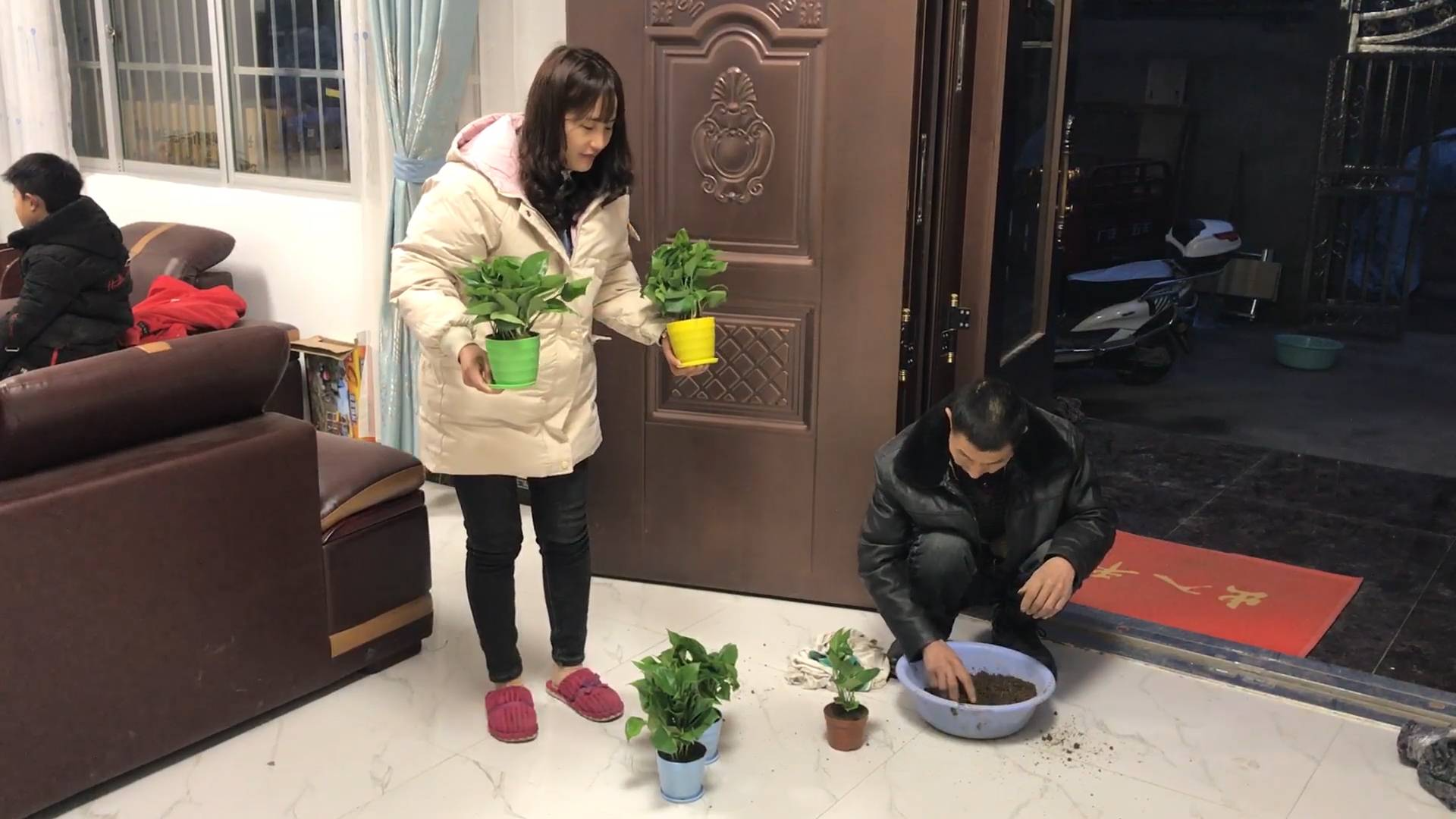 农村公爹网购绿萝,回家把它栽到花盆里,栽好媳妇把它放谁房间了